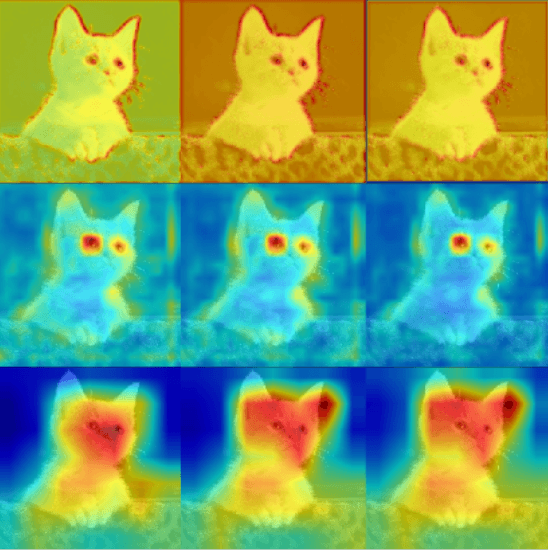 Interpreting Vision Models with Grad-CAM and Attention Maps