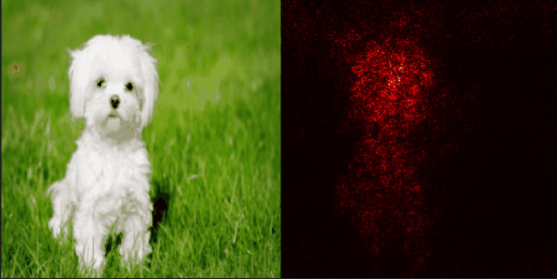 Saliency maps